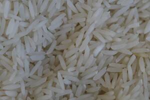 riz-300x200 riz-300x200