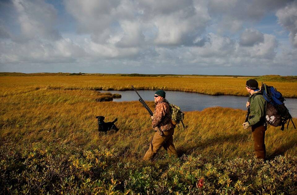 chasse chasse