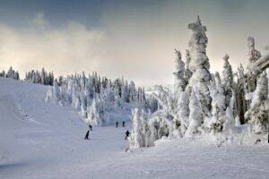 paysage-hiver-noel-300x200 paysage-hiver-noel-300x200
