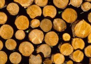 bois-MFFP-300x212 bois-MFFP-300x212