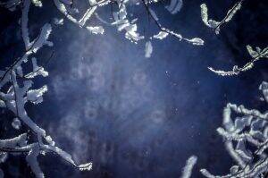 Hiver