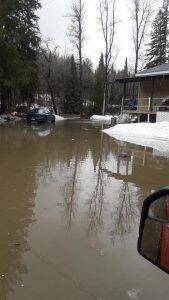 Resized_20190424_083634_4066-169x300