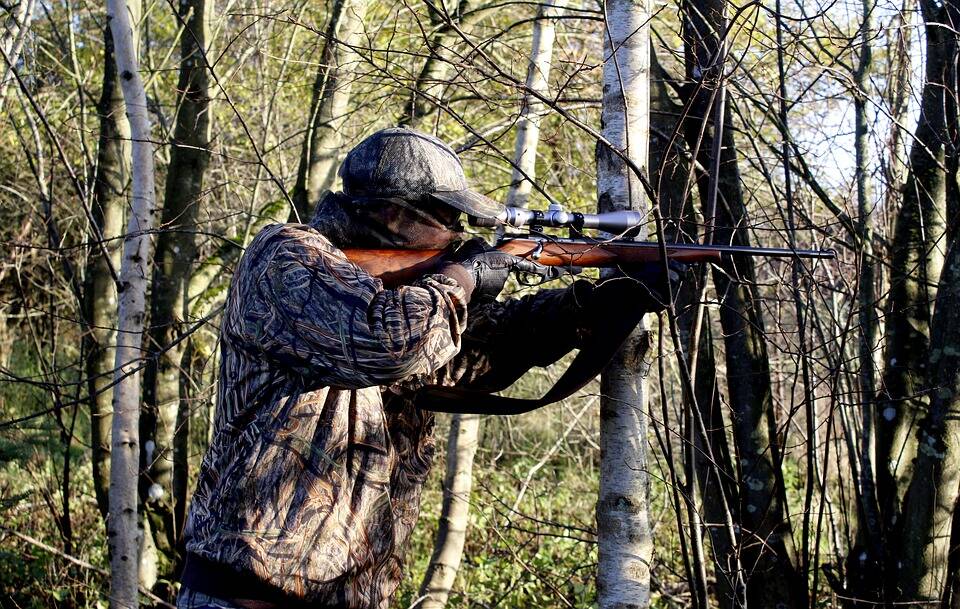 chasseur-arme-à-feu chasse