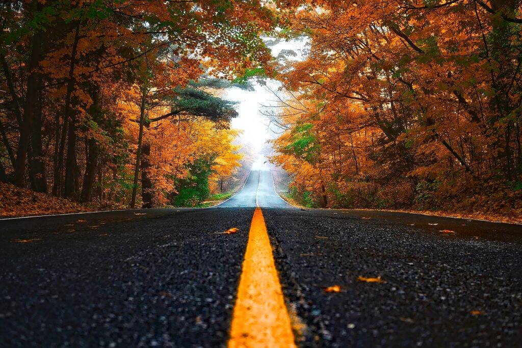 autumn-1758194_1920-1024x683
