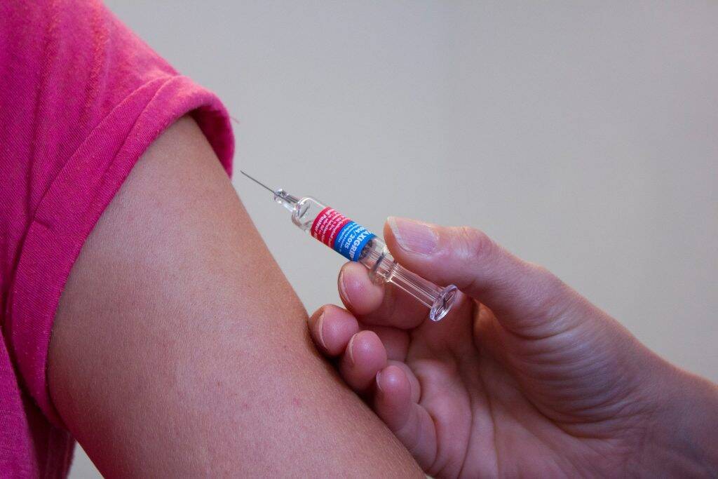 vaccination-1215279_1920-1024x683 vaccination-1215279_1920-1024x683