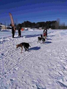 Carnaval-Montcerf-Lytton-2020-225x300 Carnaval-Montcerf-Lytton-2020-225x300
