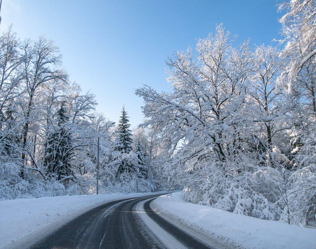 chemin-hiver-1024x807 chemin-hiver-1024x807