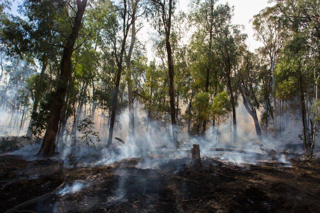 controlled-fire-burn-3HGRMSZ-1024x683 controlled-fire-burn-3HGRMSZ-1024x683