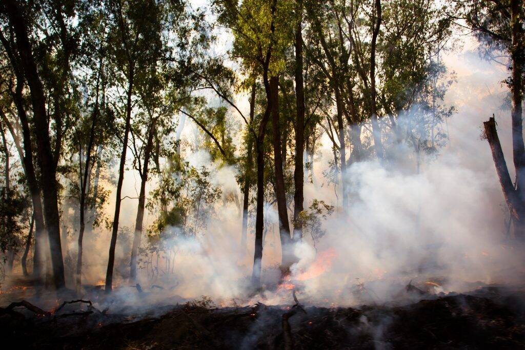 controlled-fire-burn-RLD63A8-1024x683 controlled-fire-burn-RLD63A8-1024x683