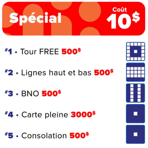 bingo special bingo special