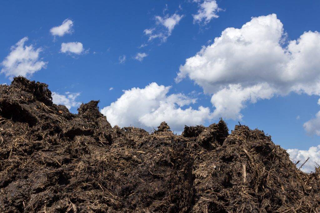 dung-heap-PXJZGB7-1024x683 dung-heap-PXJZGB7-1024x683