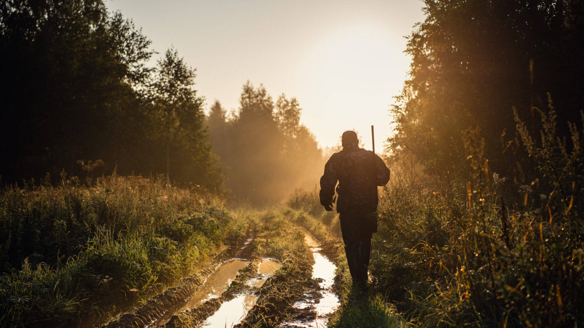 Chasse Chasse