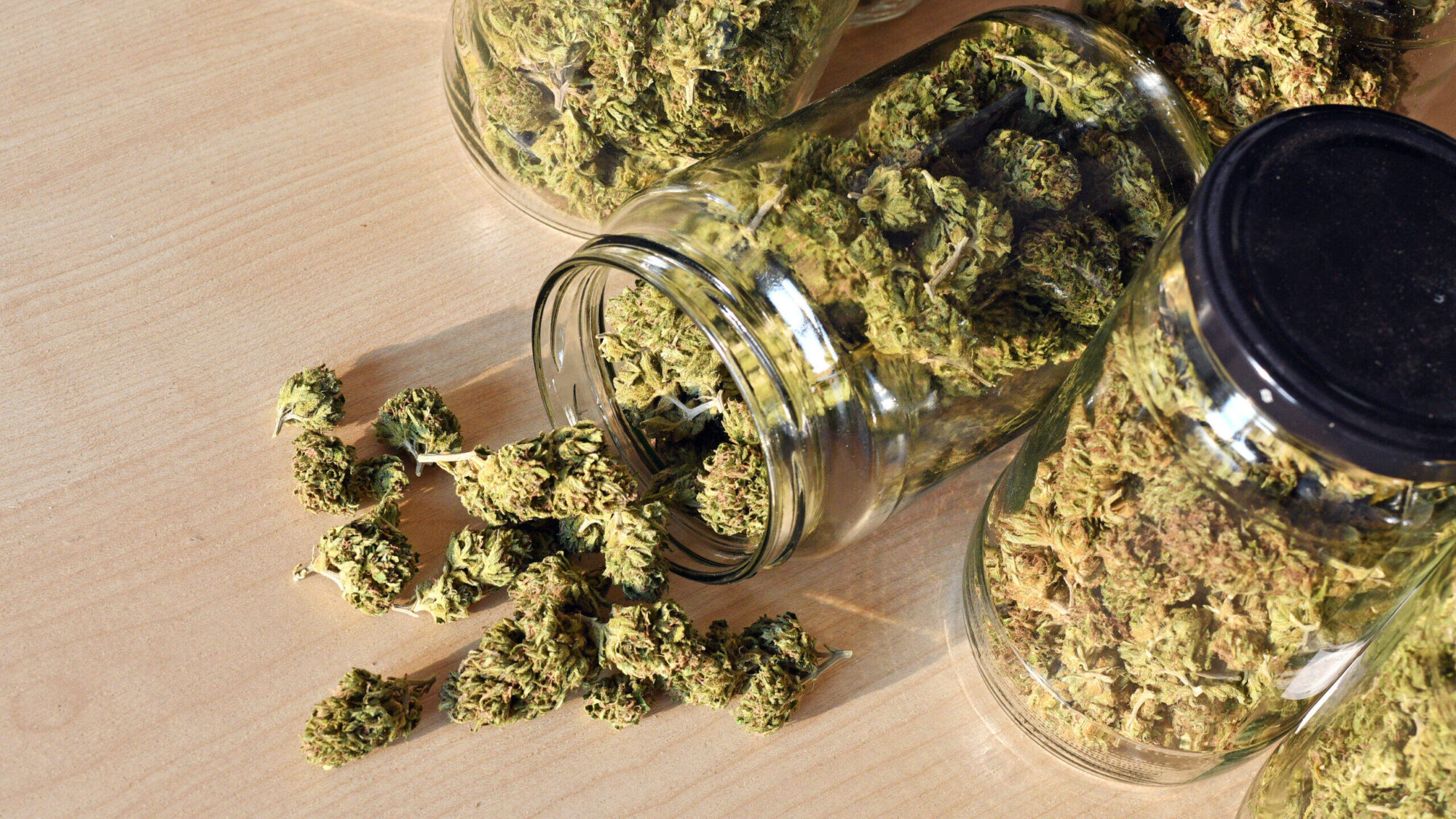 Cannabis