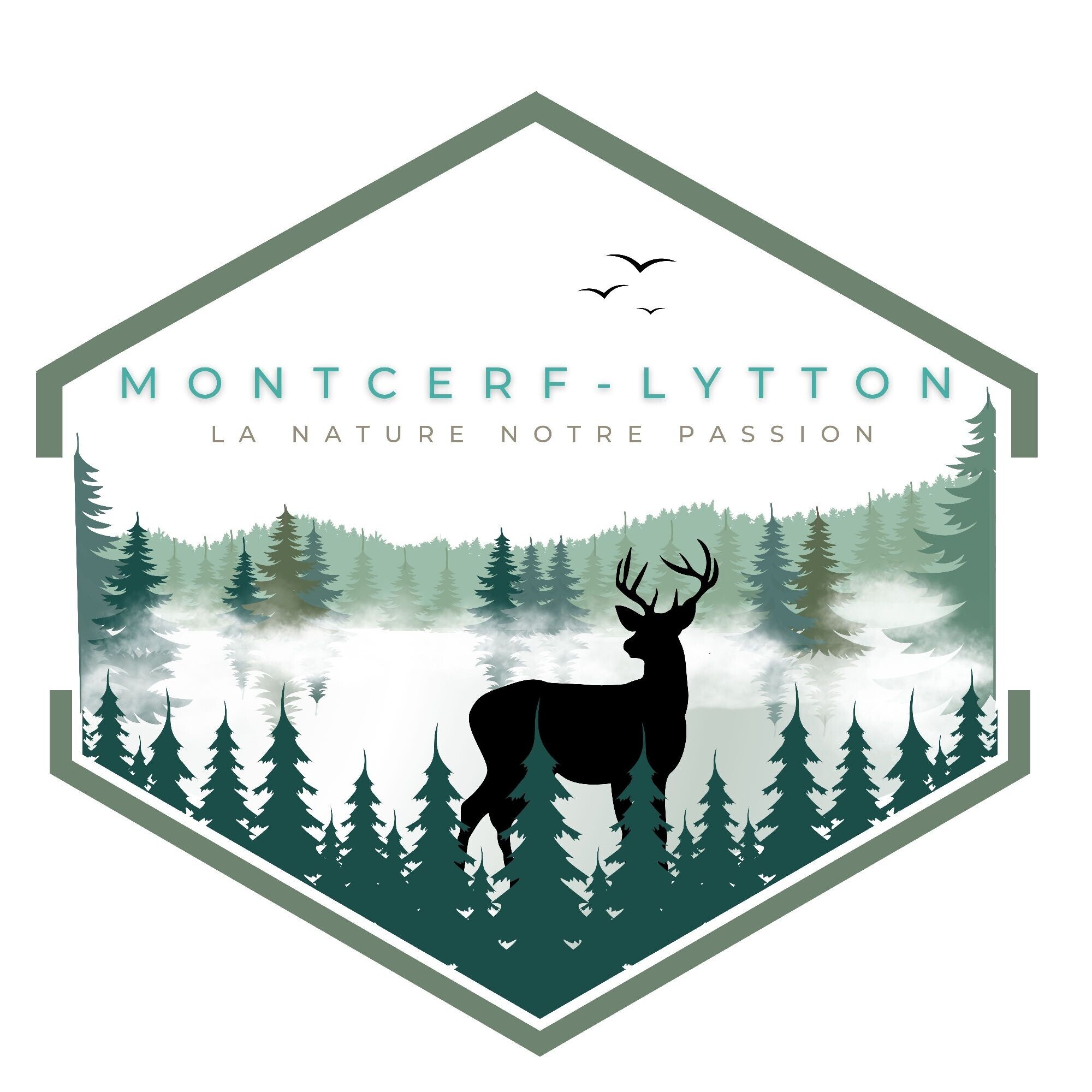 Montcerf-Lytton Logo nouveau