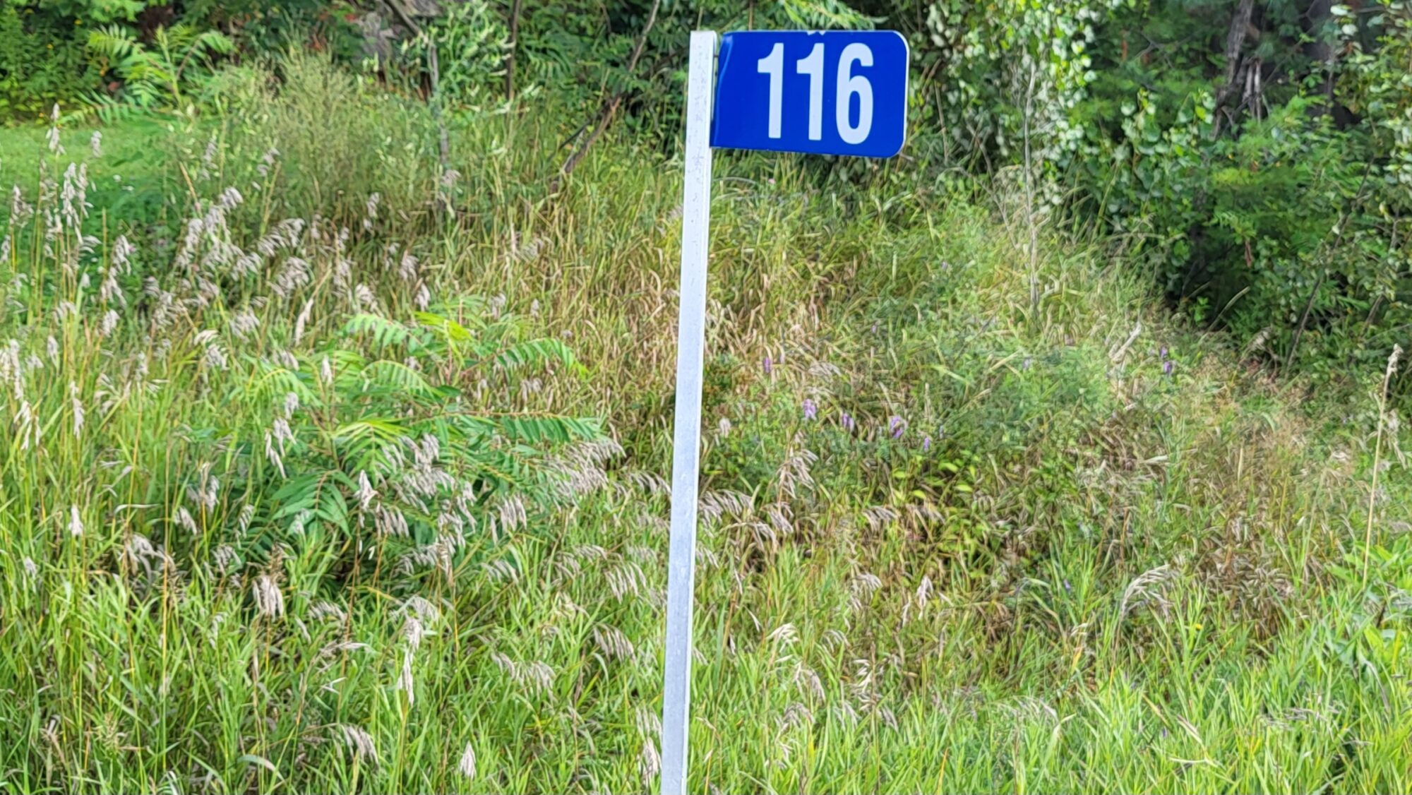 Poteau adresse municipalité