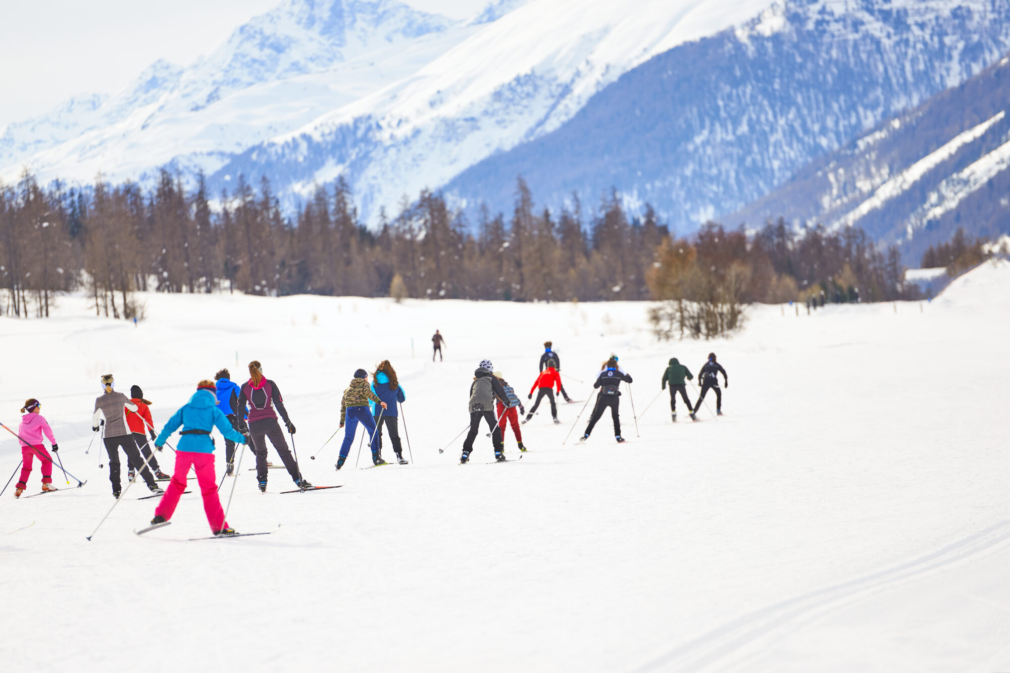 Cross-country skiers.