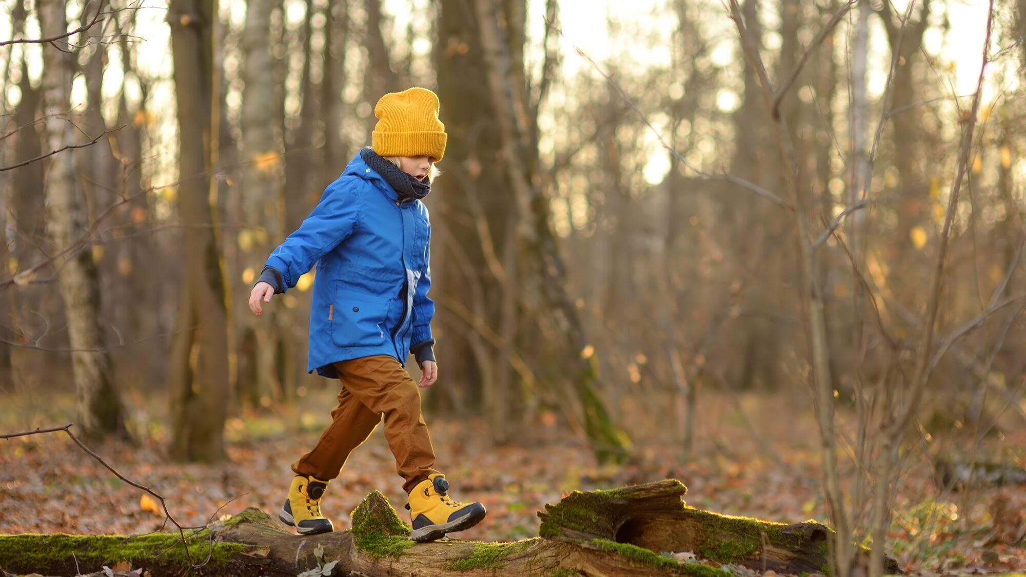 enfant forêt automne