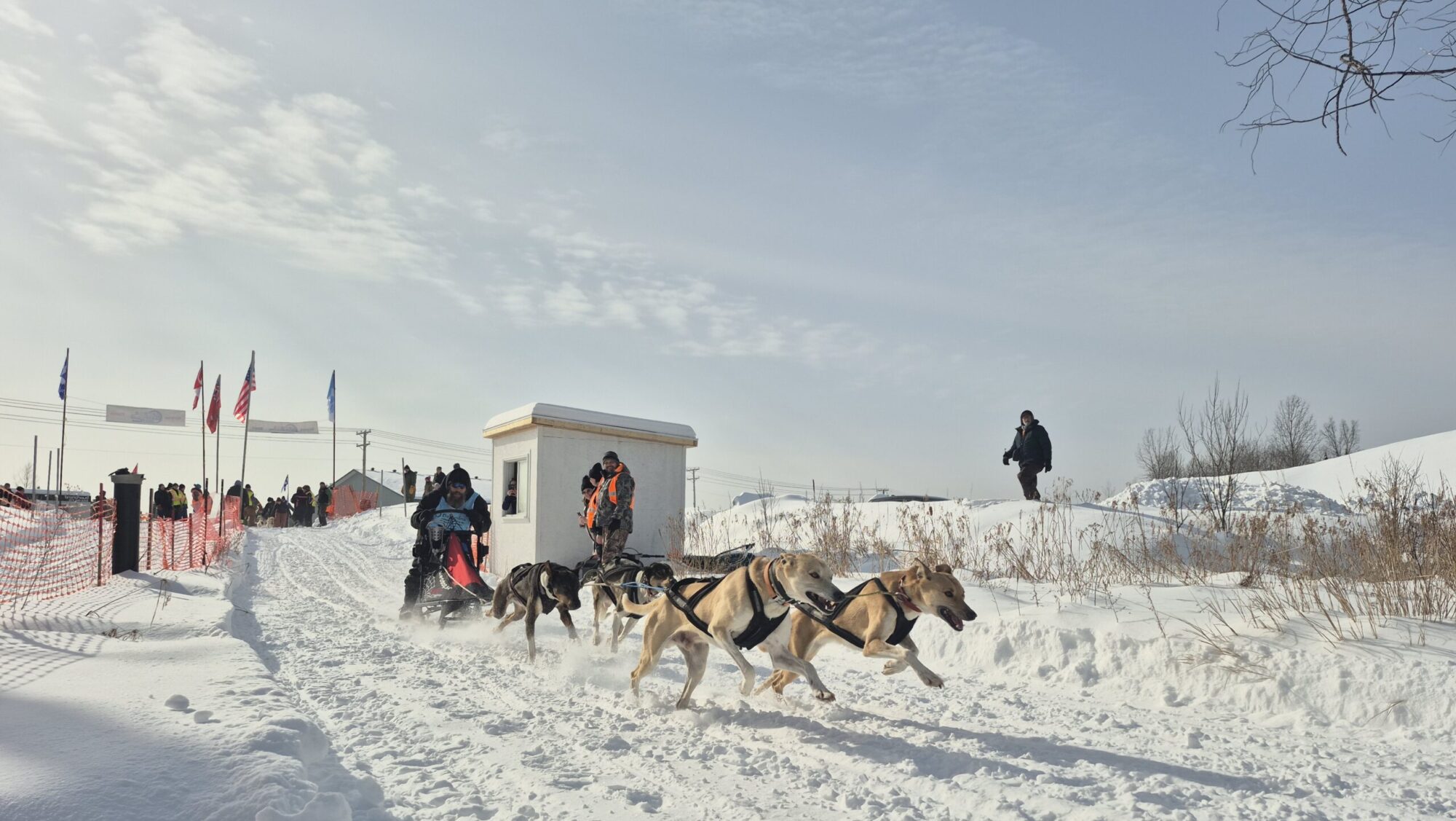 Courses internationales de chiens de traineau de Maniwaki 2025