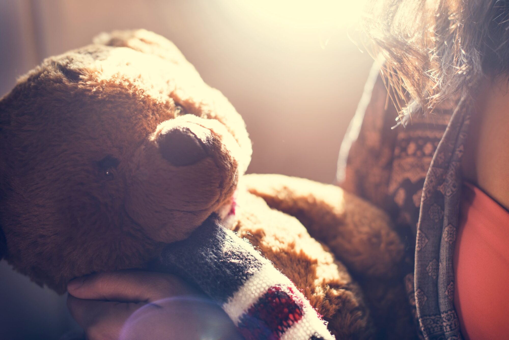 Woman Teddy Bear Loveable Toy Concept
