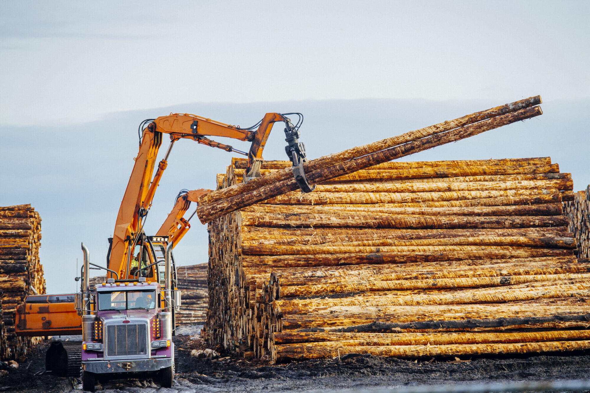 Un camion et de la machinerie lourde dans une cour à bois, en train de manipuler du bois en longueur à côté d'une pile de troncs d'arbres entassés.