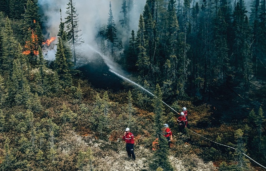 Vue aérienne de quatre pompiers forestiers habillés avec un casque blanc, une veste rouge et des pantalons bleus. Ils se trouvent sur un terrain accidenté et recouvert de forêt. L'un d'eux tient un téléphone ou une radio à la main. Un autre projette de l'eau avec une lance incendie sur un arbre résineux en feu. Il y a un panache de fumée qui monte de la forêt.
