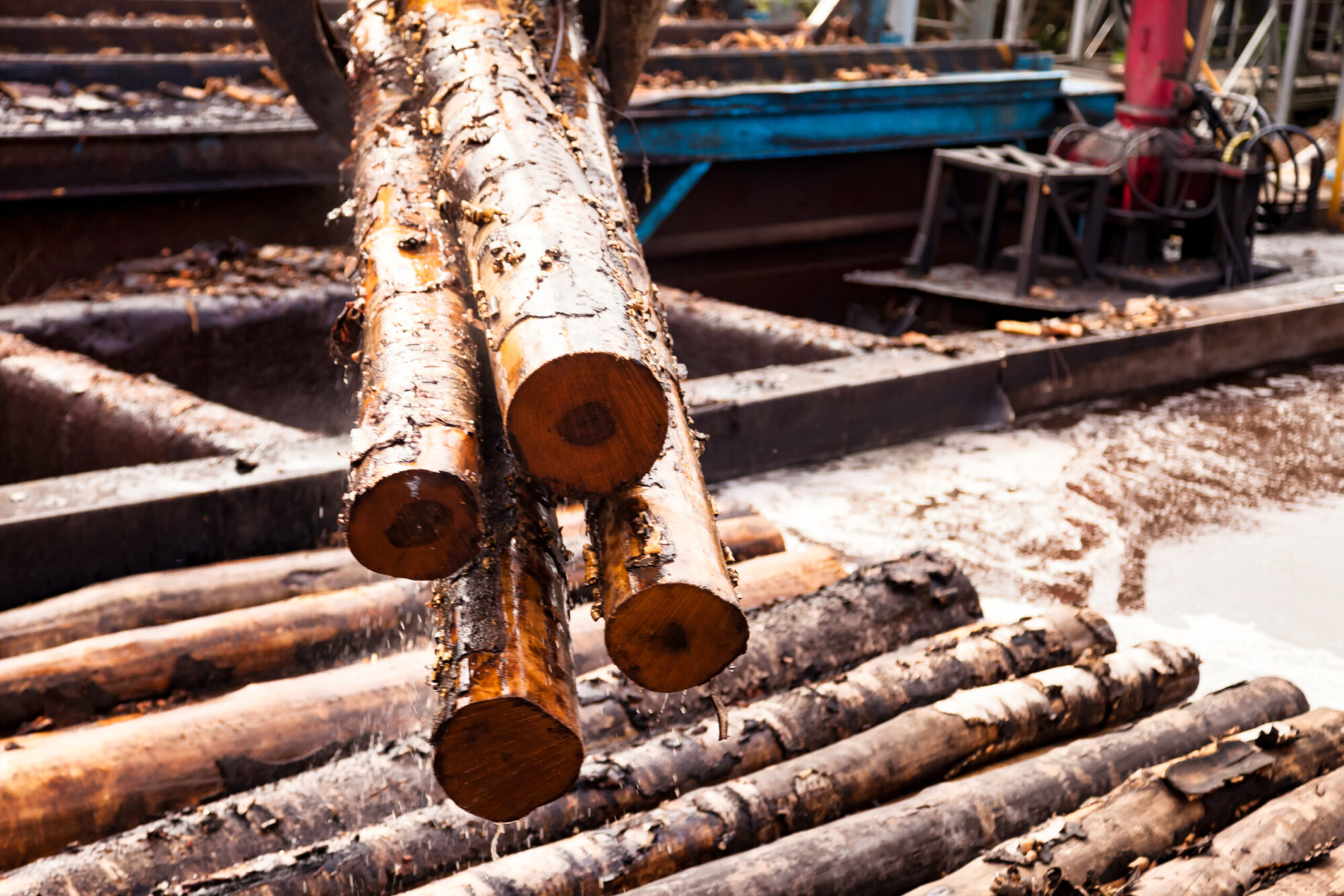 Des troncs d'arbres sont transportés par une machine dans un environnement qui évoque une usine de sciage.