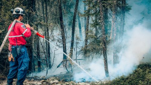 Un pompier forestier de la SOPFEU éteint des braises dans une forêt enfumée avec une lance à incendie.