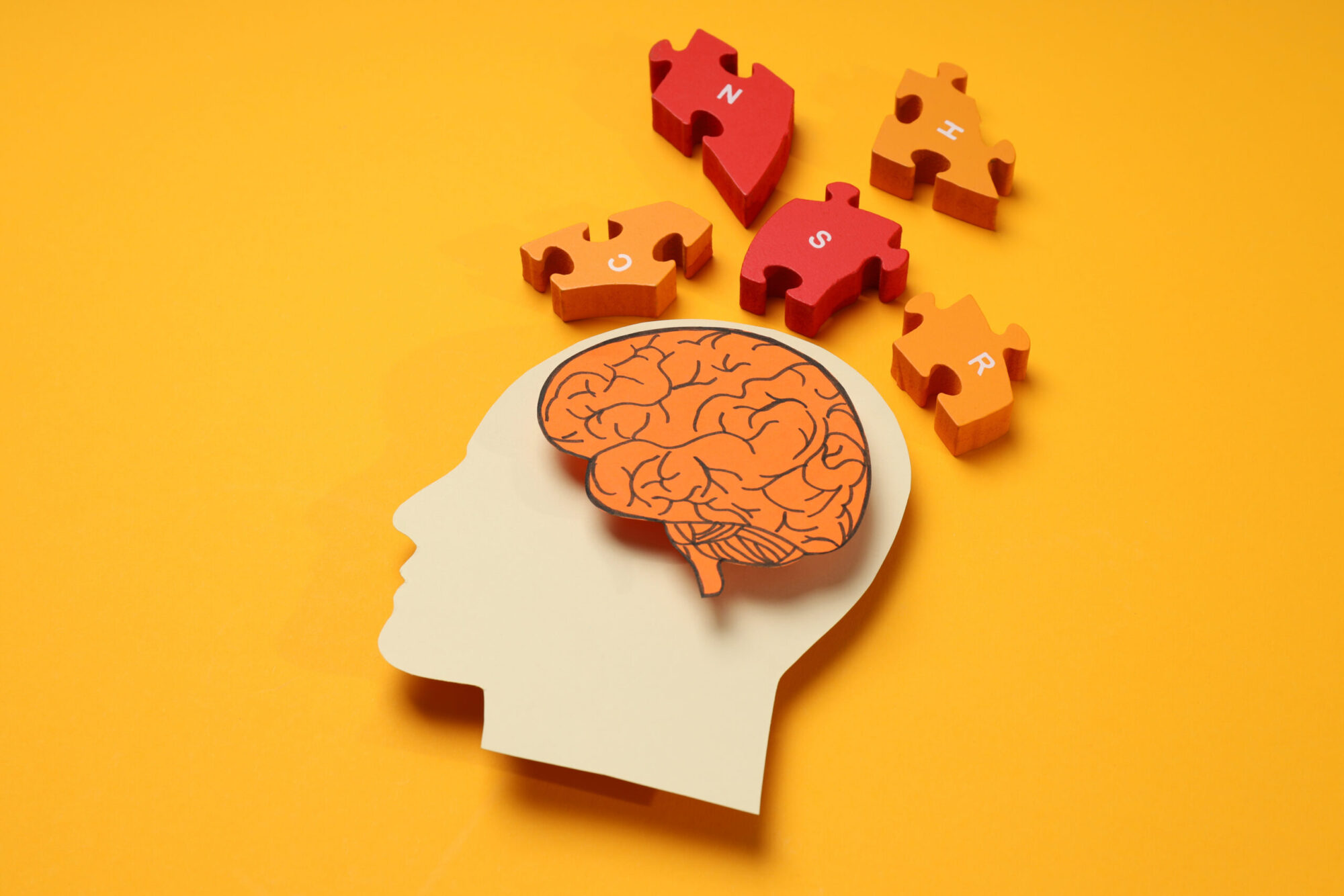 Silhouette d’une tête humaine avec un cerveau illustré à l’intérieur avec autour, des pièces de puzzle colorées.