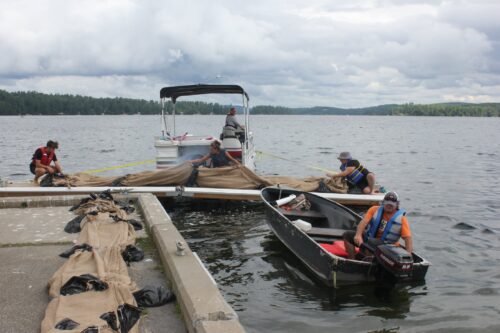 116356334_107468877728432_5572854506792681389_n