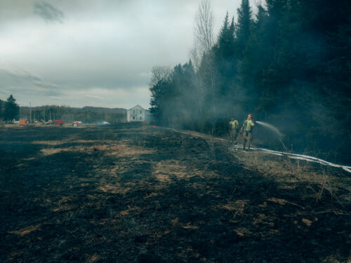 Feu de forêt