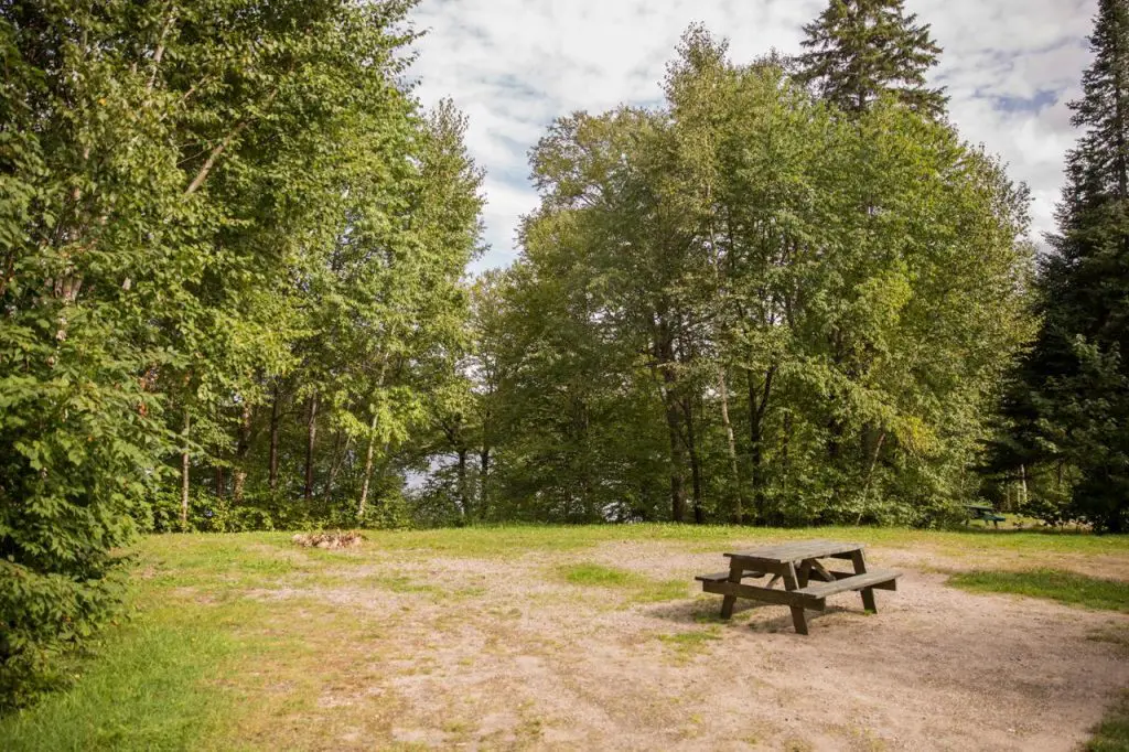 site camping dans un boisé avec place à feu et conifères