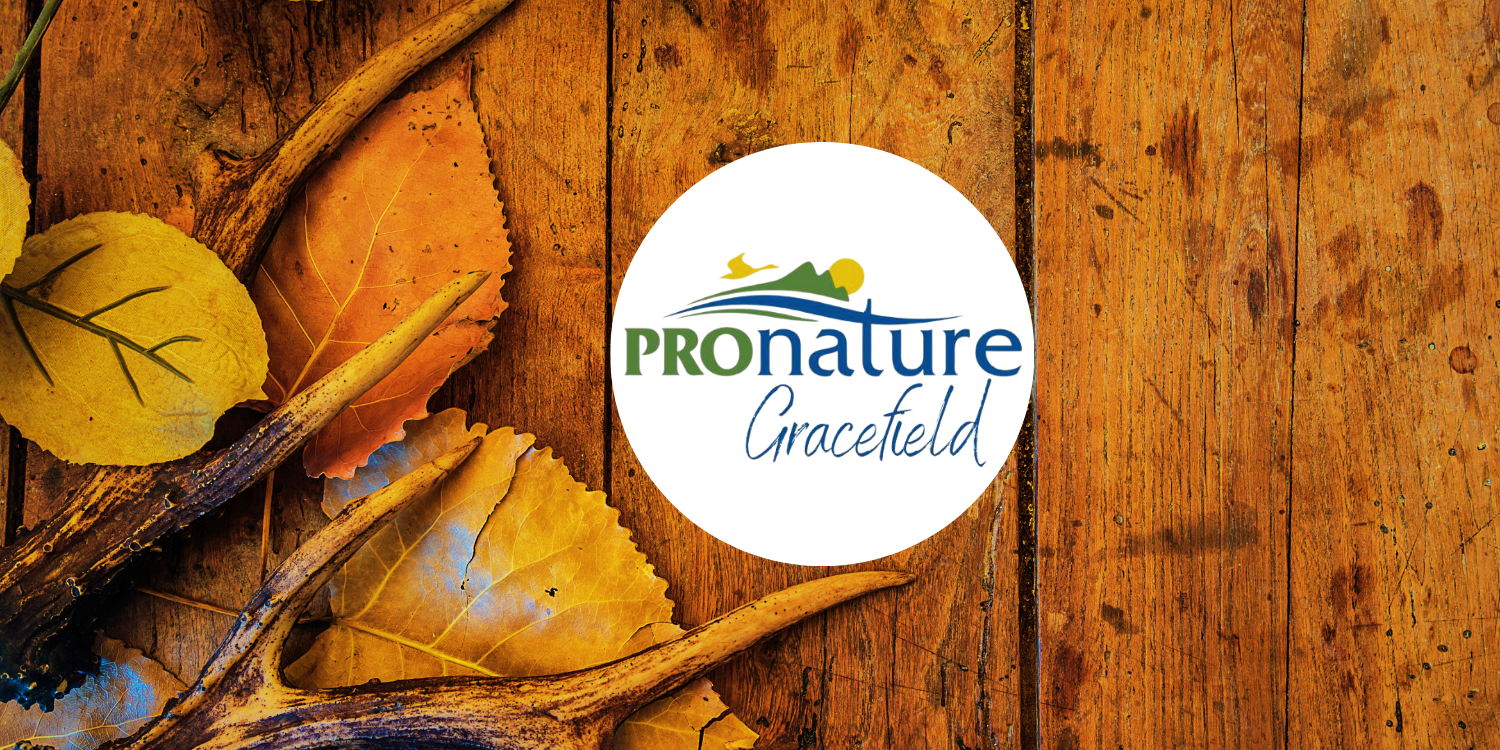 Concour Propnature