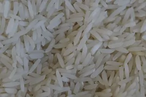 riz-300x200 riz-300x200