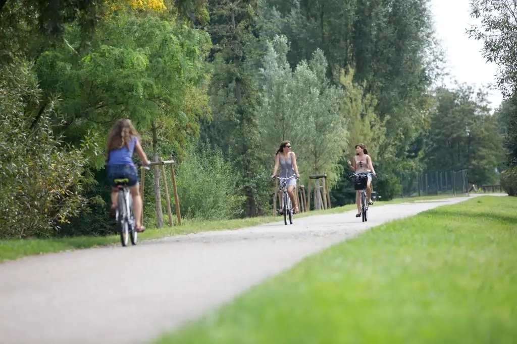 Piste cyclable - Vélo