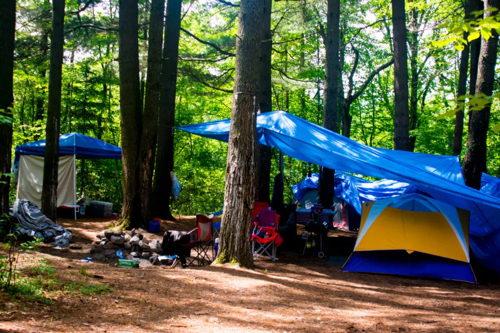 Camping_tents_in_the_woods_2-1024x683 Camping_tents_in_the_woods_2-1024x683