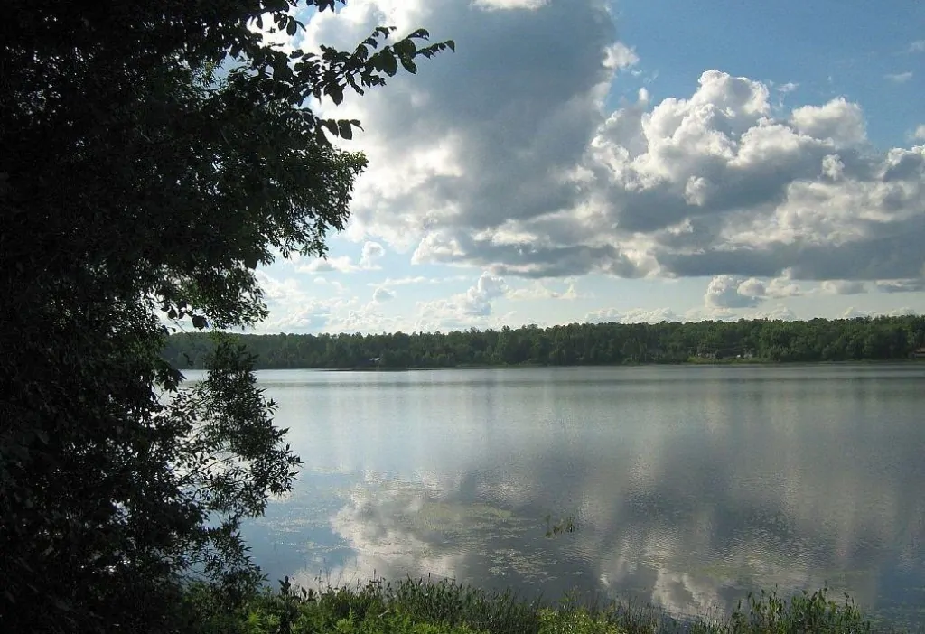 Lac Murray