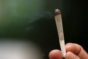 joint-de-cannabis-300x202-1505247766 joint-de-cannabis-300x202-1505247766