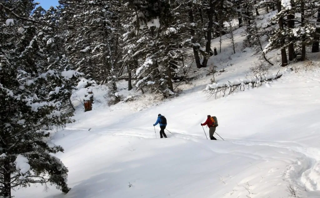 Ski neige hiver