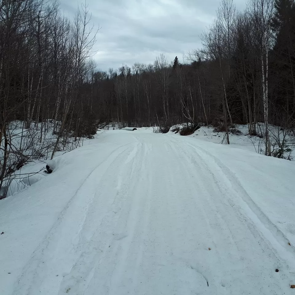 Plusieurs chemins de la Zec BrasCoupéDésert sont actuellement