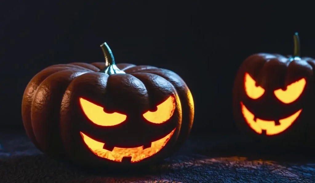 citrouilles halloween