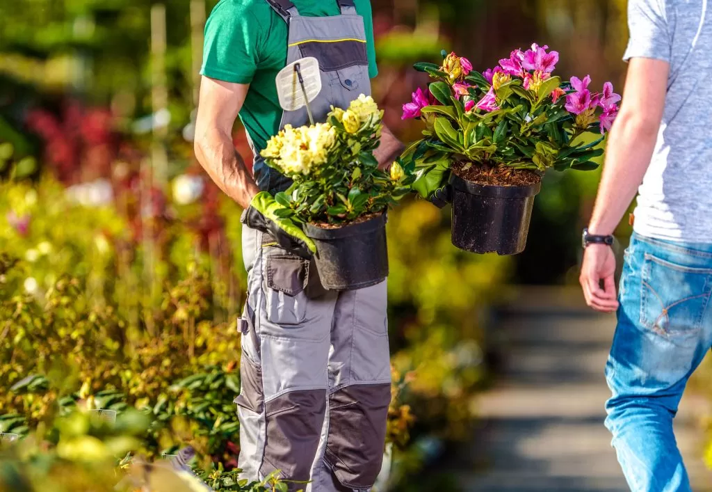 Fleurs fleuriste jardinage