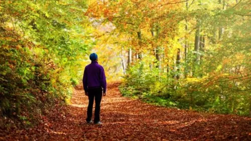 Marche randonnee foret automne