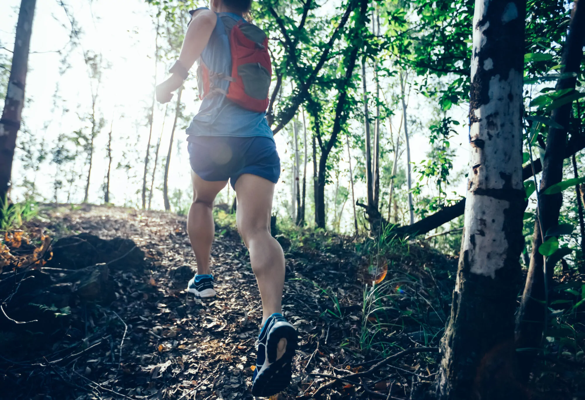 Course en forêt