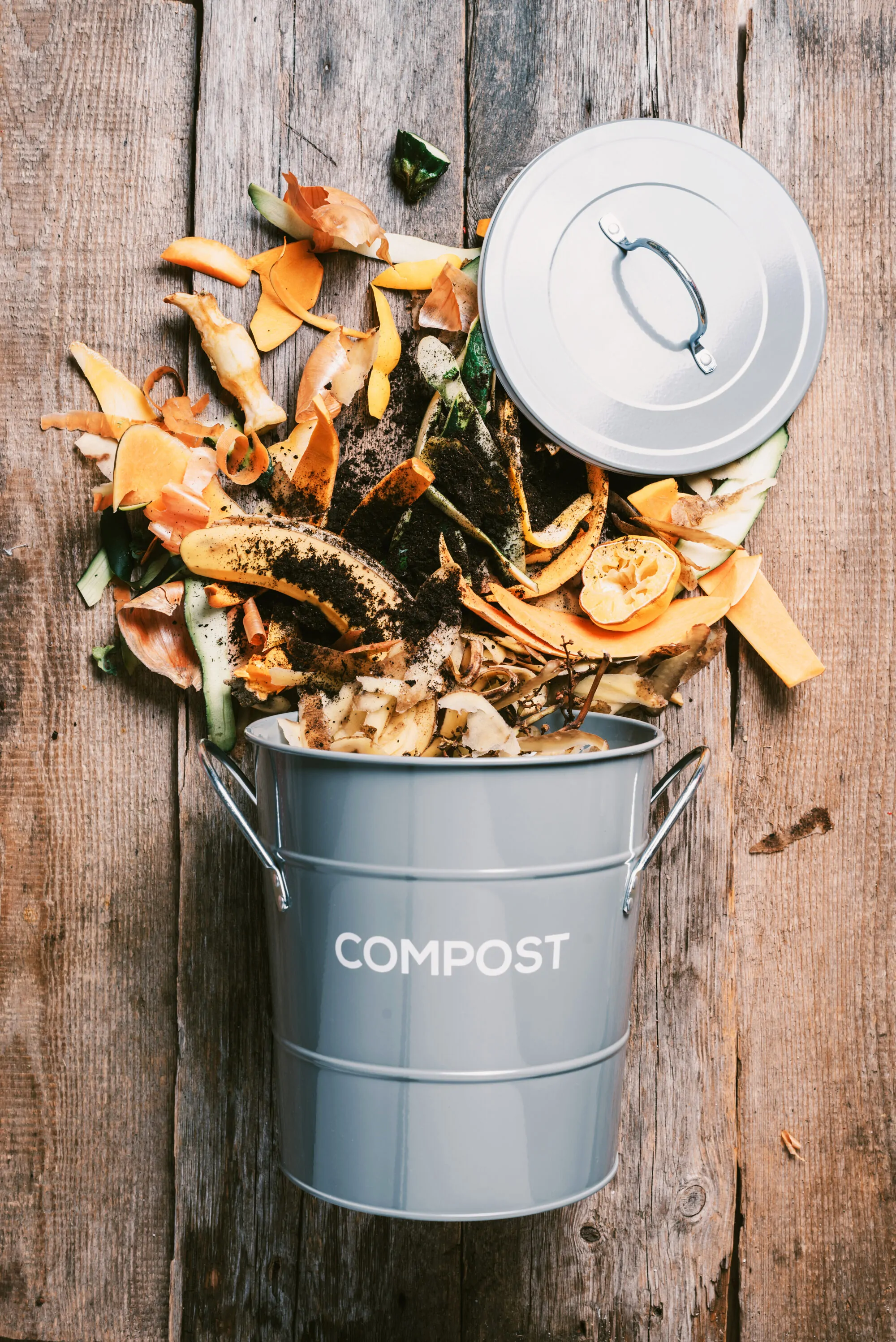 compost dechets