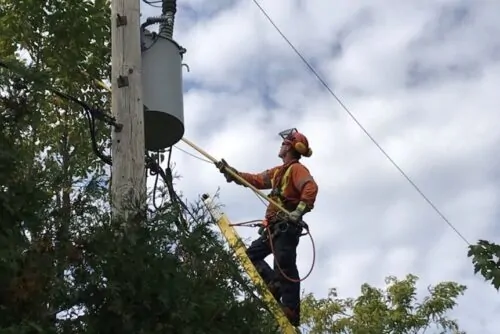 Hydro-Québec (maîtrise de la végétation)2