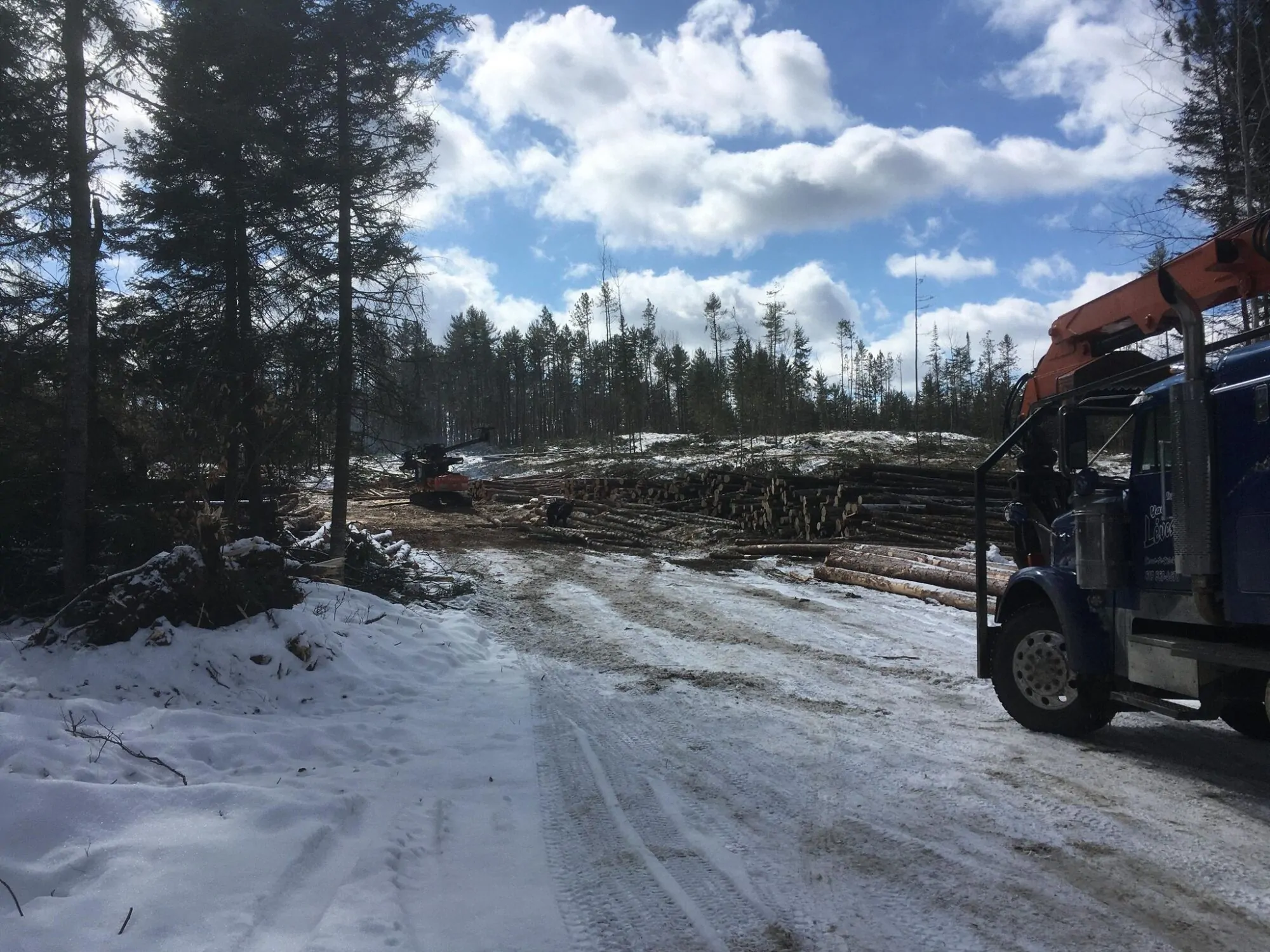 Des coupes forestières sèment la grogne à SainteThérèsedelaGatineau