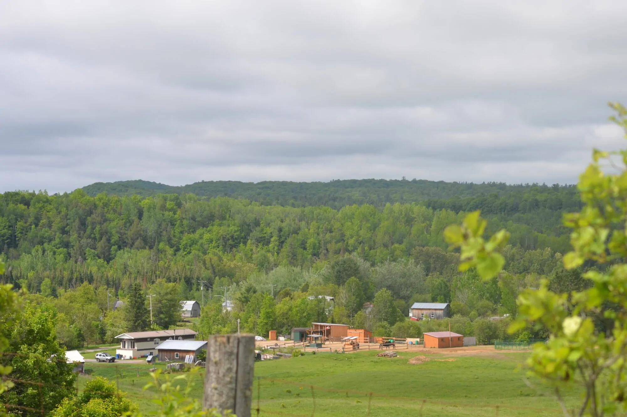Paysage - Low