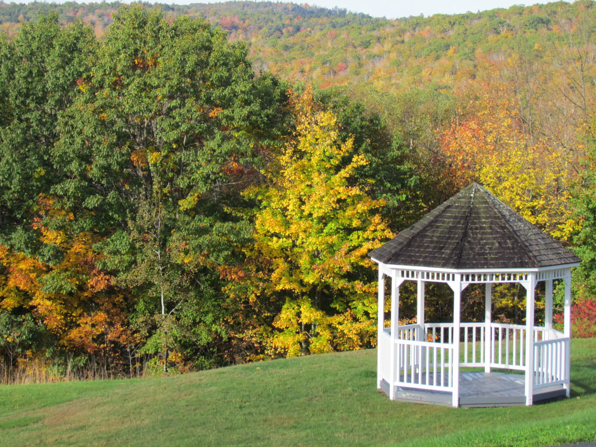 Gazebo Gazebo