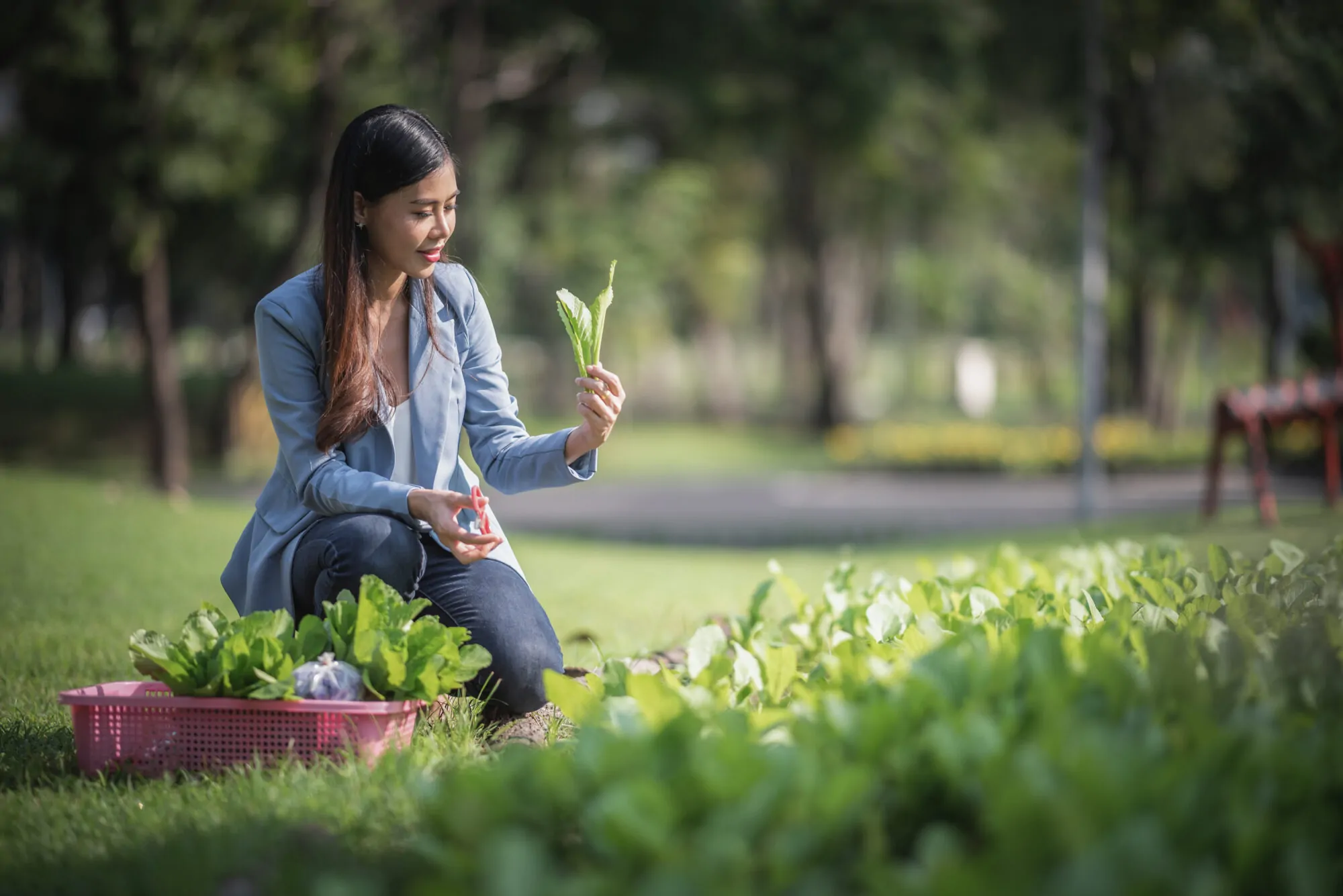 Travail agricole étudiant