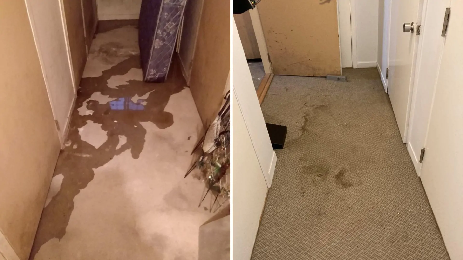 Une citoyenne de Bouchette déplore l’état de son logement 1